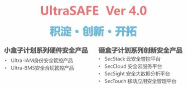 泰岳安全發布企業信息安全管控新品Ultrasafe 4.0，引領信息技術咨詢服務新紀元